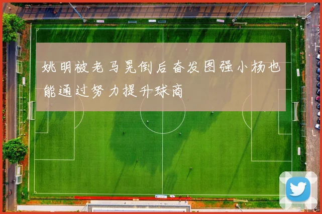 姚明被老马晃倒后奋发图强小杨也能通过努力提升球商