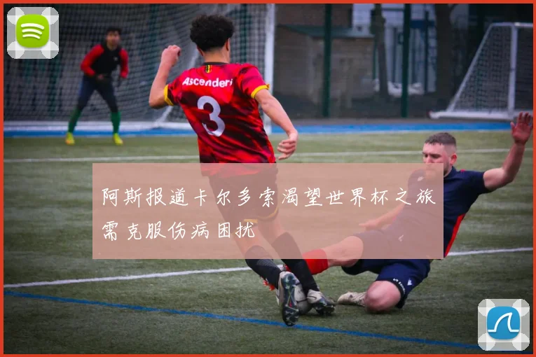 阿斯报道卡尔多索渴望世界杯之旅需克服伤病困扰