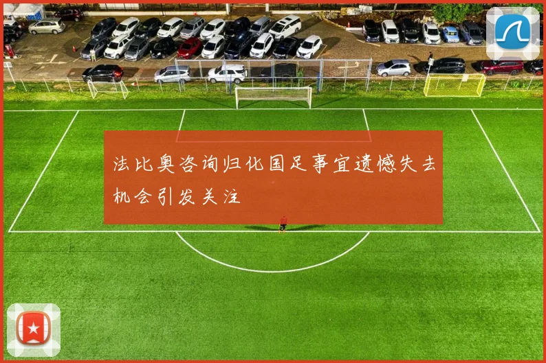 法比奥咨询归化国足事宜遗憾失去机会引发关注